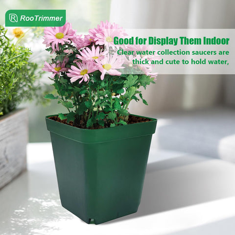 RooTrimmer gift-friendly seedling pots suited for plant lovers.