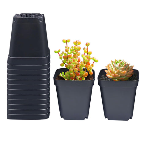 RooTrimmer square nursery pot for seed starting, 3.54 inches, 90-pack, ready for germination.