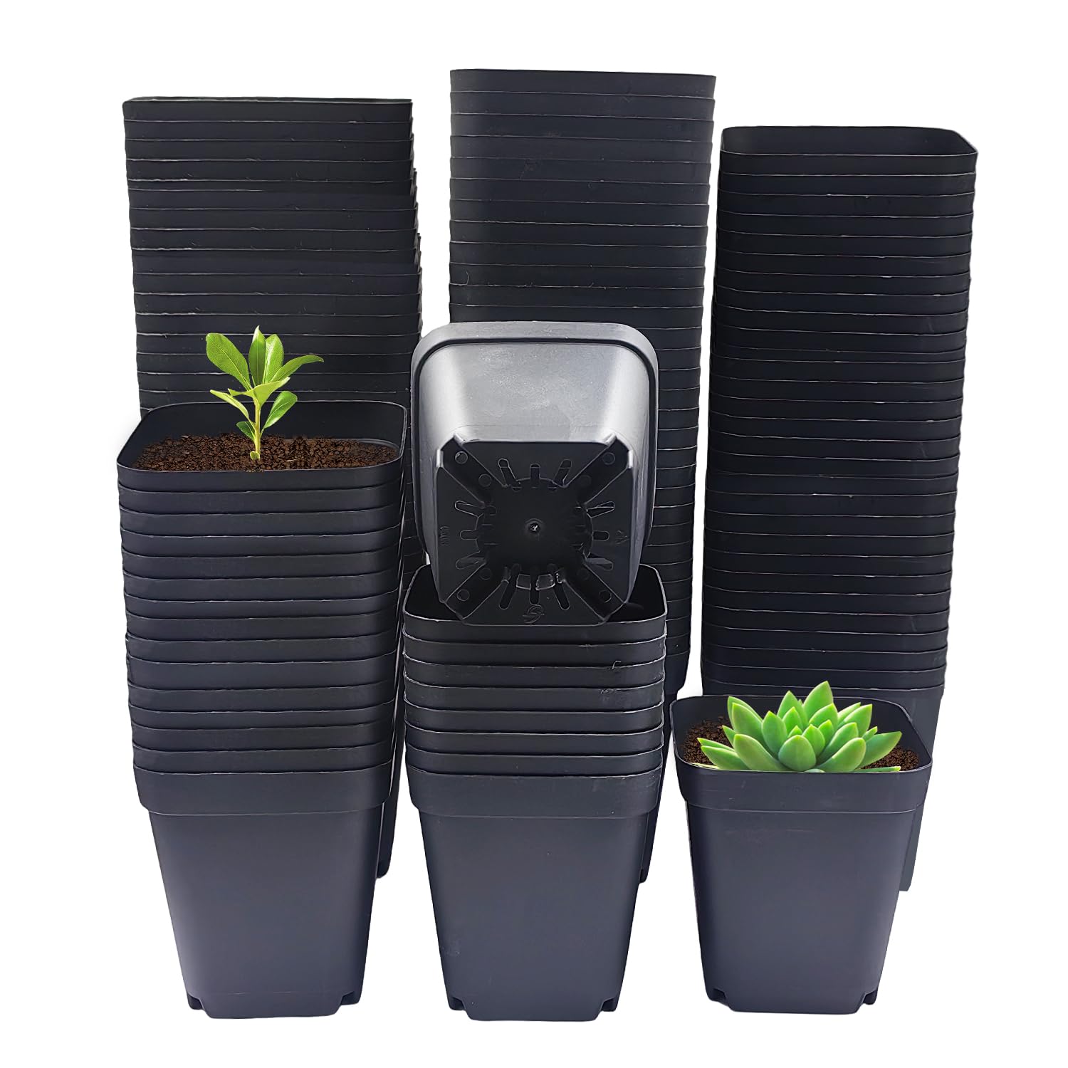 RooTrimmer square 3in black pot with drainage holes for seed starting.