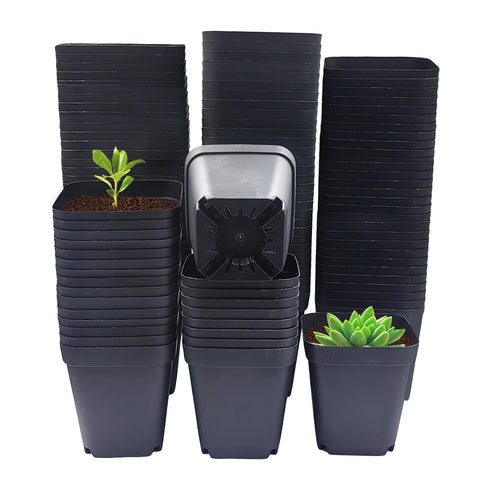 RooTrimmer square 3in black pot with drainage holes for seed starting.