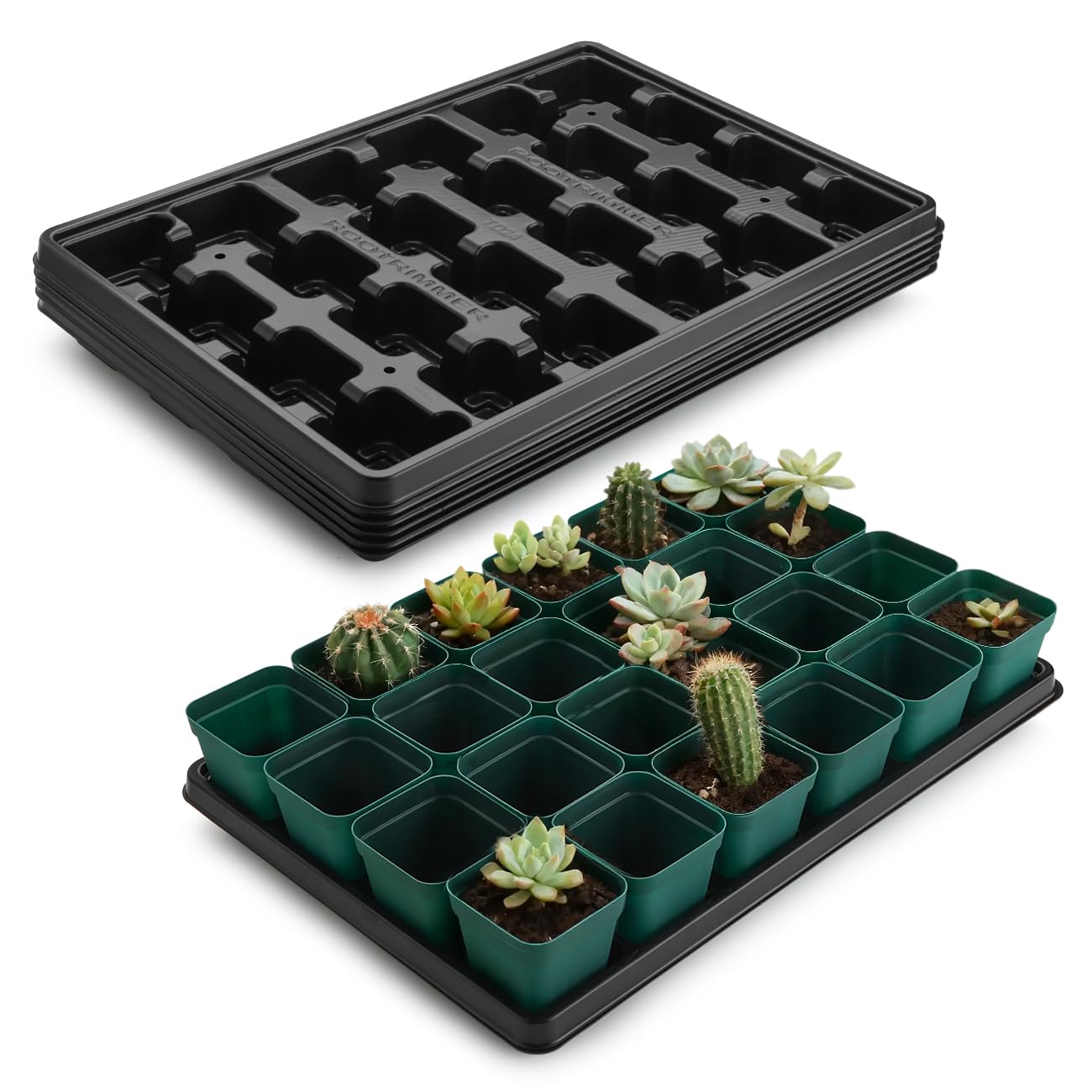 RooTrimmer square 3-inch green pots ready for starting seedlings and easy transplanting