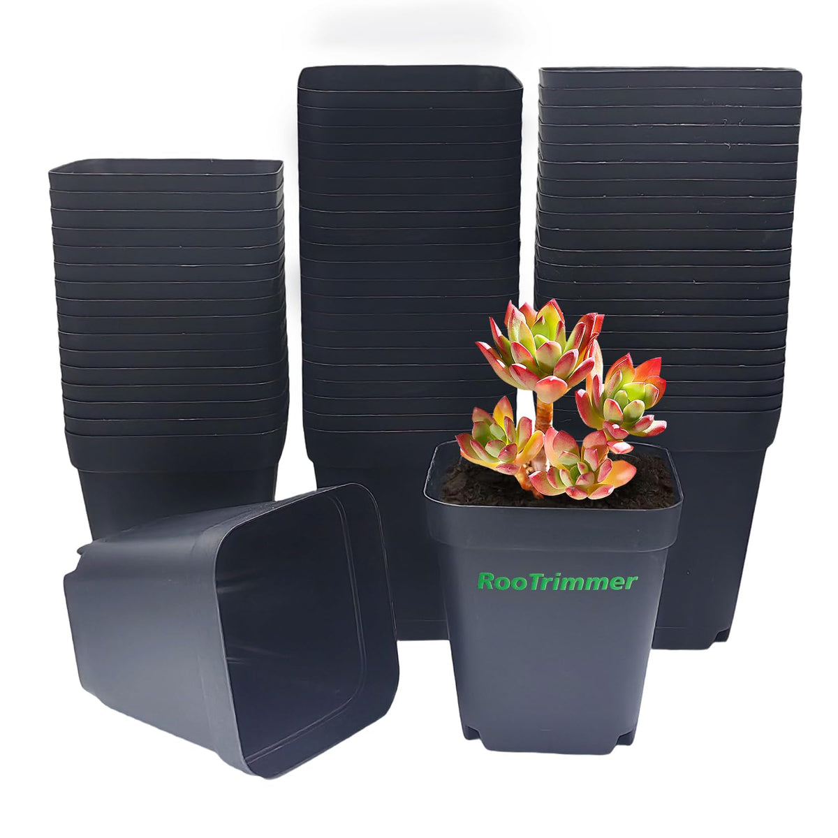 RooTrimmer square 4in pot top view; sturdy seedling starter for herbs and vegetables.