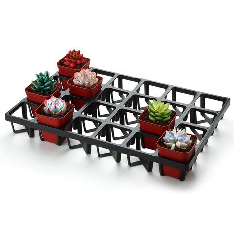 RooTrimmer square pot tray with 24 cells, ideal for organizing multiple pots