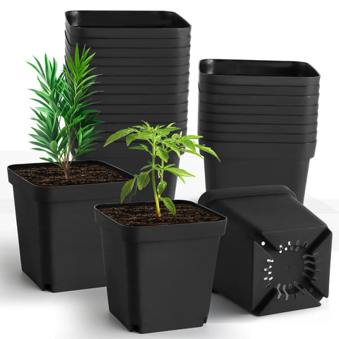 RooTrimmer square 5.5 inch pots for compact seedling starts
