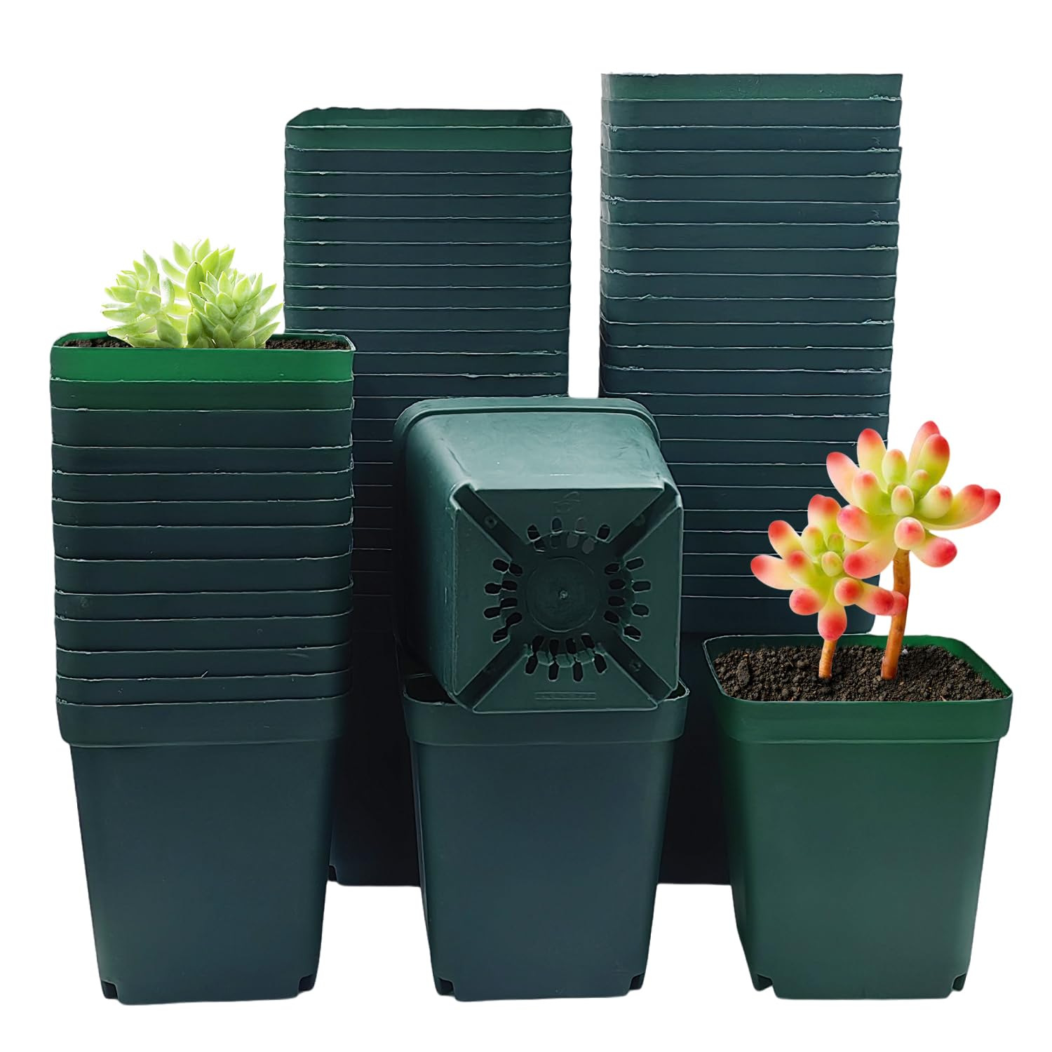 RooTrimmer square 4-inch green pots, 60-pack, ideal for seedling preparation.