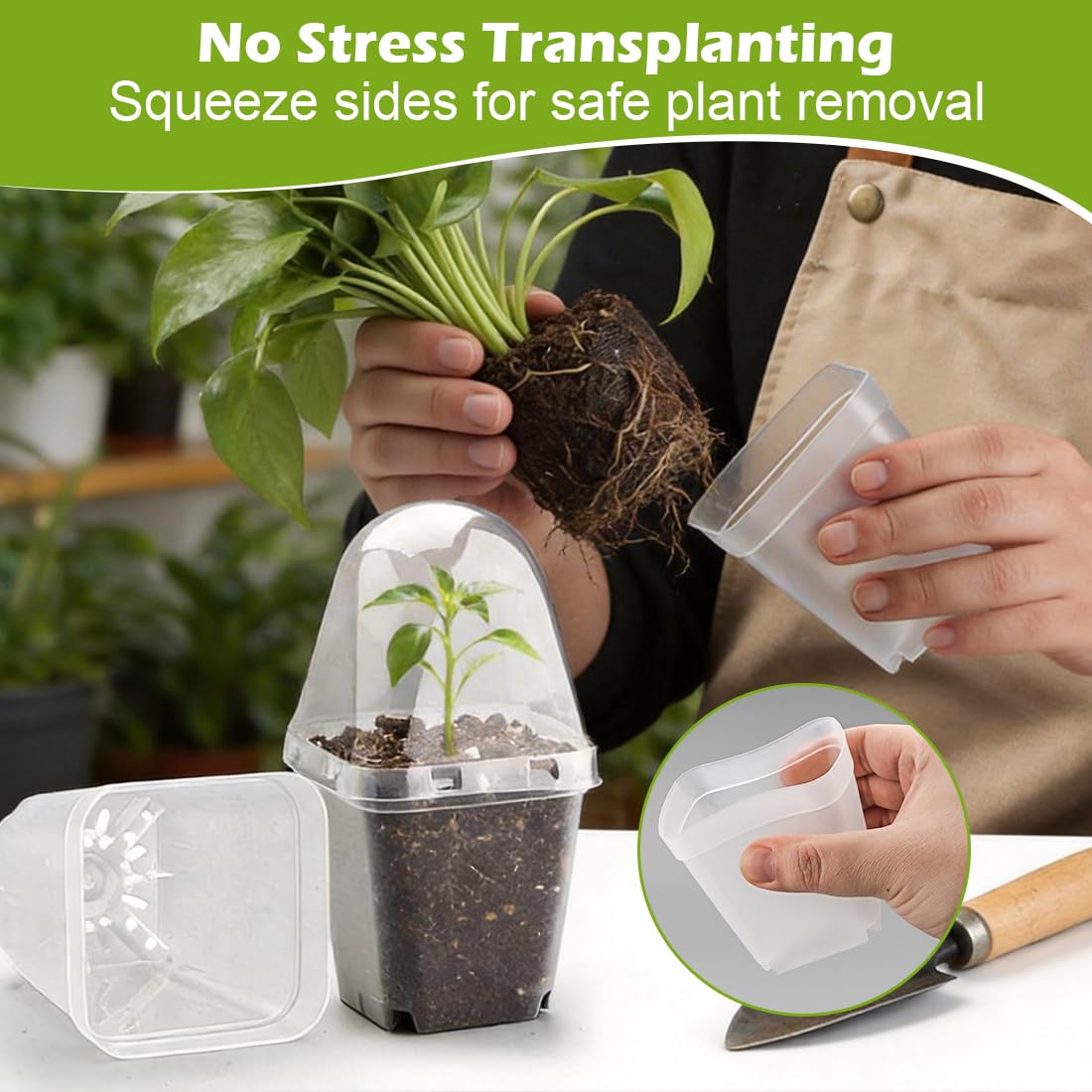 RooTrimmer square pots fit standard 24-cell trays for space-saving setups