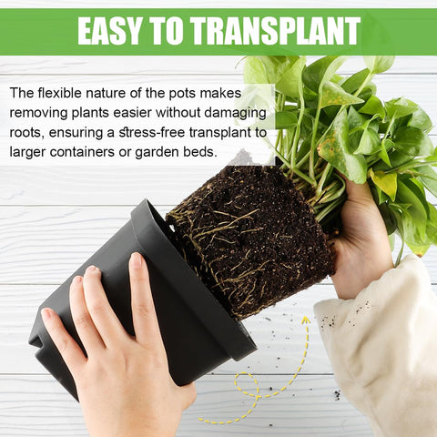 RooTrimmer pots feature a space-saving, stackable design