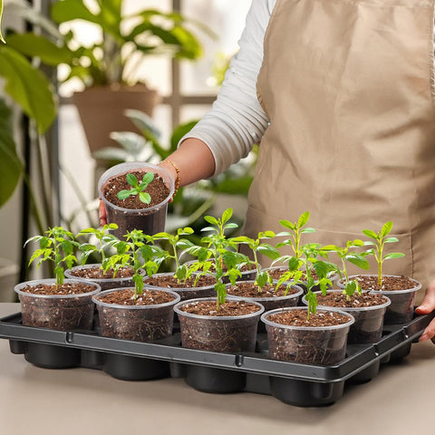 RooTrimmer stackable setup saves space when storing extra pots