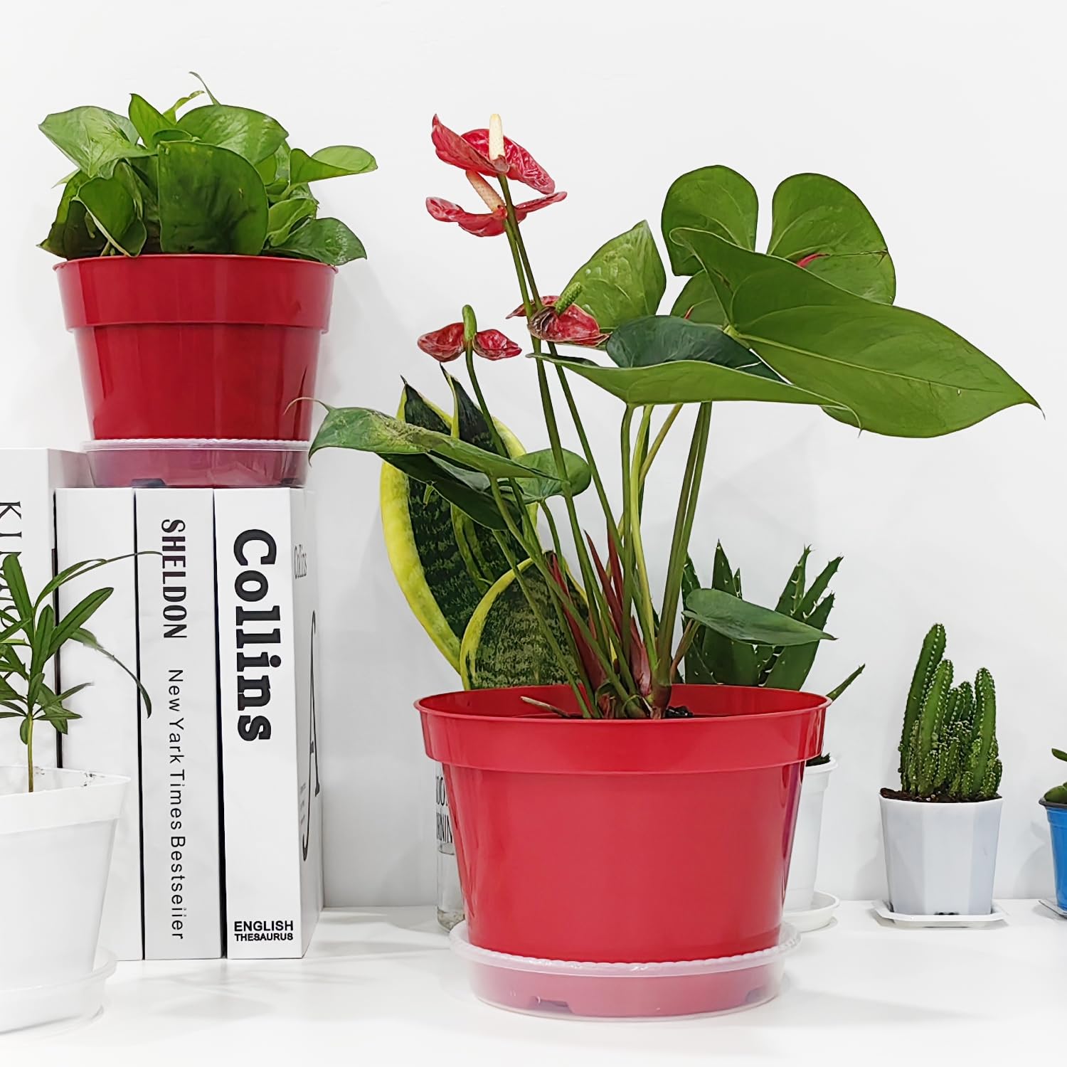 RooTrimmer BPA-free, odor-free nursery pots support healthy plant growth