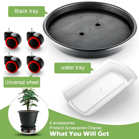 RooTrimmer tall plant container fits large indoor trees and shrubs.