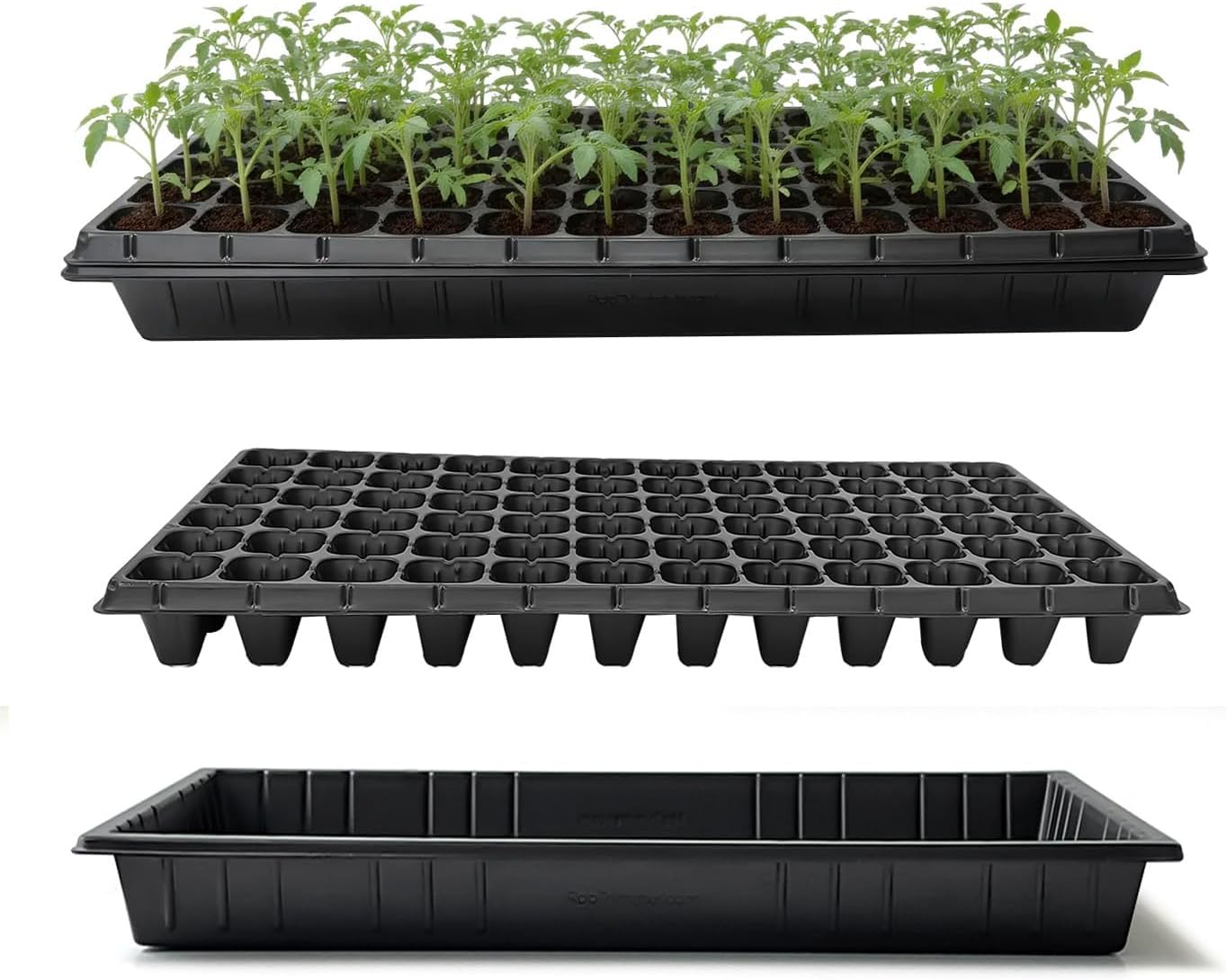 RooTrimmer TD538 tray top view shows a sturdy seed starter surface for reliable germination