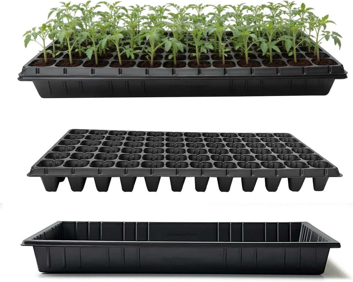 RooTrimmer TD538 tray top view shows a sturdy seed starter surface for reliable germination