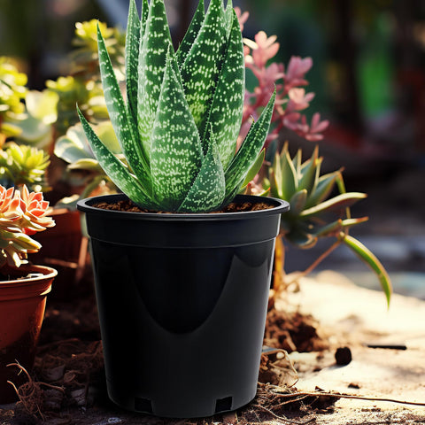 RooTrimmer pot with textured surface offers secure grip when moving full pots
