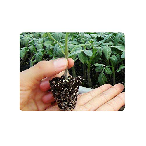RooTrimmer thick durable plastic tray for long-lasting use.