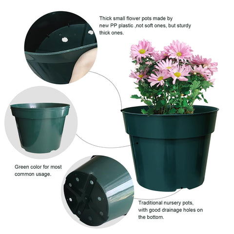 RooTrimmer lightweight pot makes rearranging houseplants simple.
