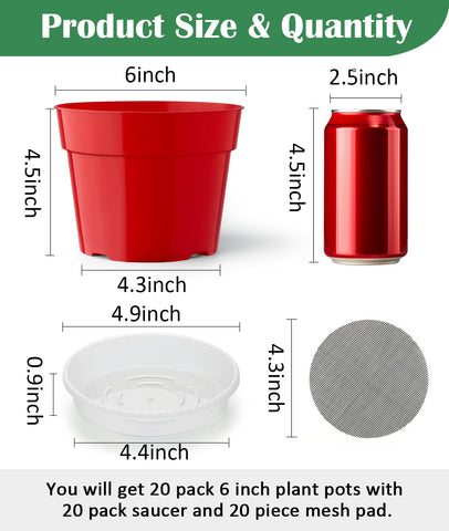 RooTrimmer thick pot saucer keeps soil and drainage water neatly contained.