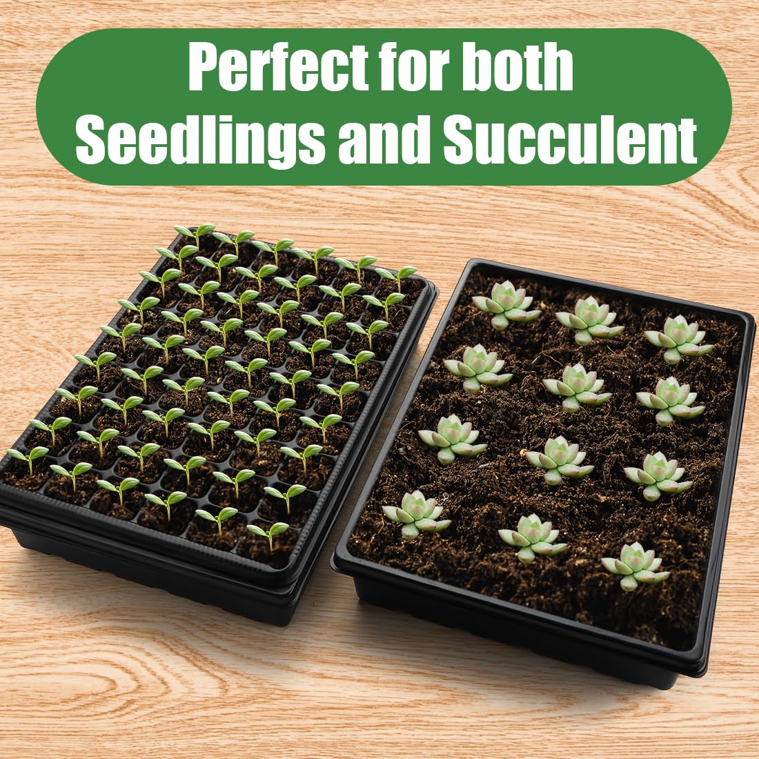 RooTrimmer three-tray system maximizes seedling capacity for busy gardens.