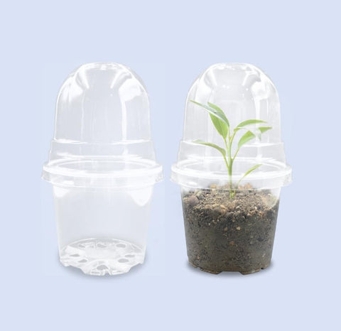 RooTrimmer 4-inch transparent pot for easy seed growth observation.