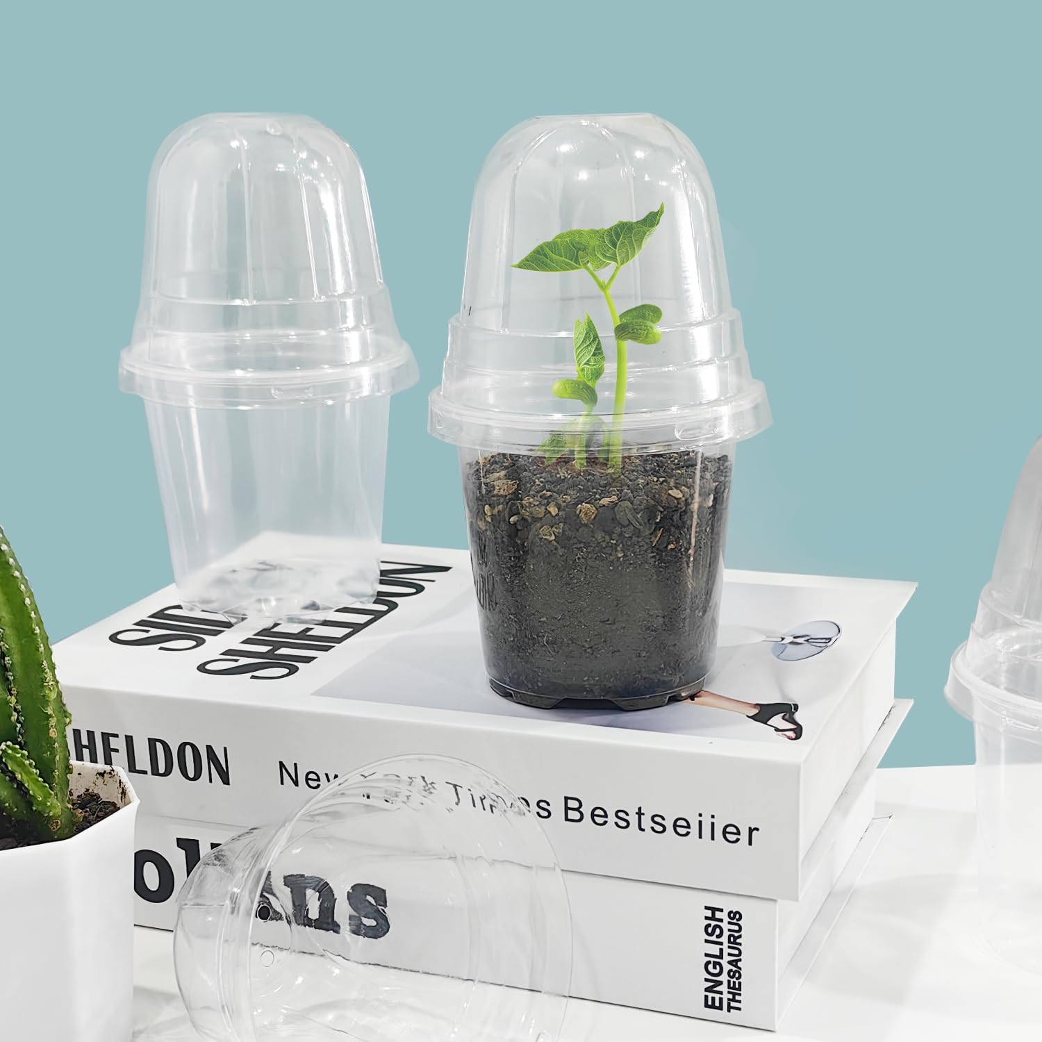 RooTrimmer transparent nursery pot with lid demonstrates moisture control benefits.