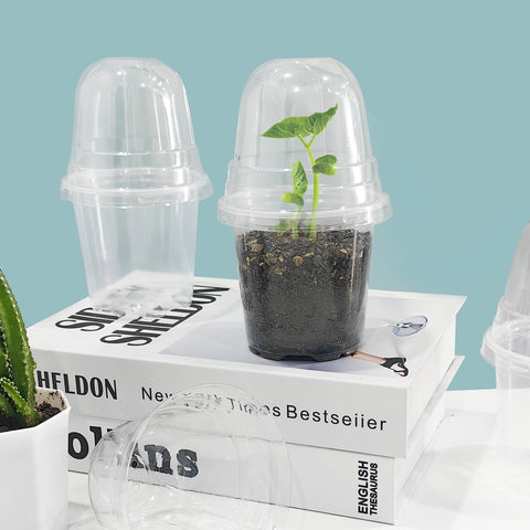 RooTrimmer transparent nursery pot with lid demonstrates moisture control benefits.