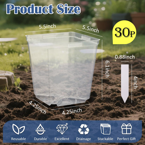 RooTrimmer durable 5.5-inch pot supports transplanting gently for delicate seedlings.