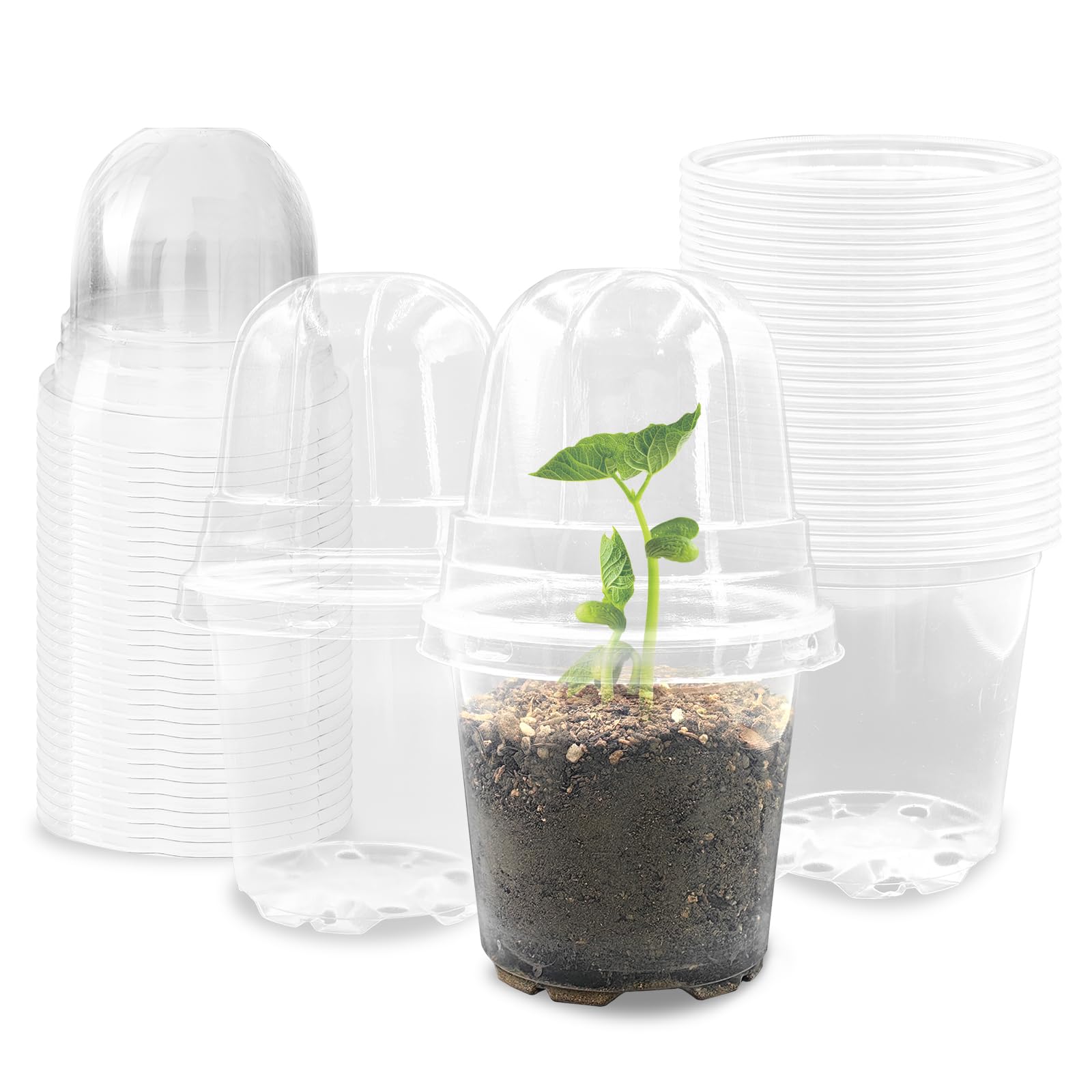 RooTrimmer transparent 3.5-inch pot clearly showing growth and moisture for seed starting.