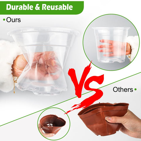 RooTrimmer transparent pot view revealing root health during propagation.