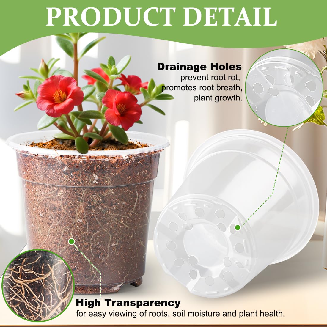 RooTrimmer transparent root observation pot highlights root visibility.