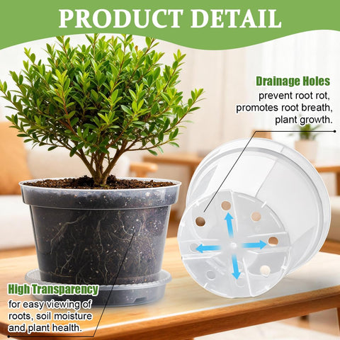 RooTrimmer transparent root-view pot allows quick inspection of root health and growth