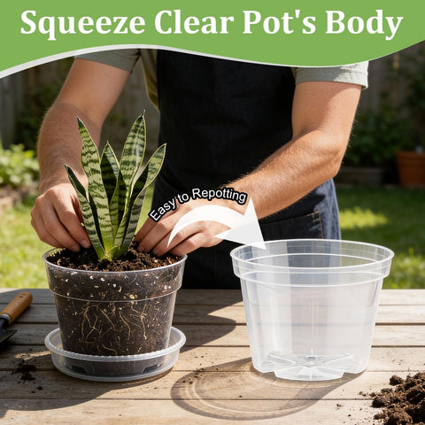 RooTrimmer transparent pot view shows root growth clearly