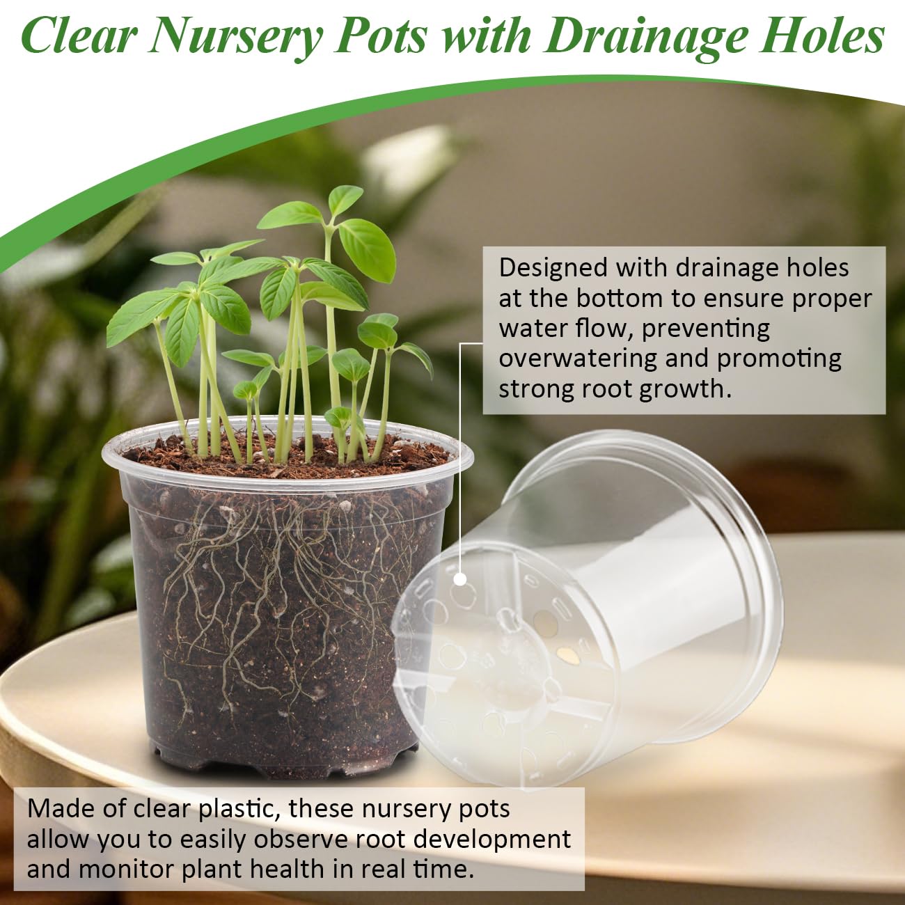 RooTrimmer transparent pots let you watch root growth and soil moisture in real time.
