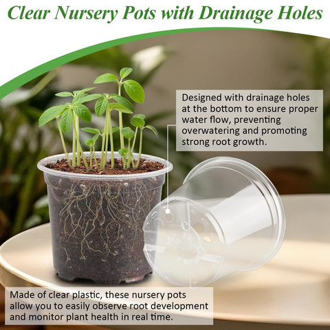 RooTrimmer transparent pots let you watch root growth and soil moisture in real time.