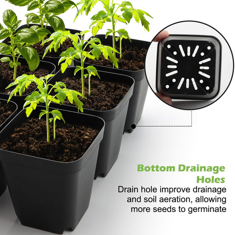 Tray layout showing 24 pots per tray for organized transplanting