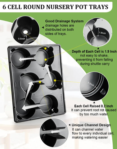 RooTrimmer tray and pots prevent sliding during watering.