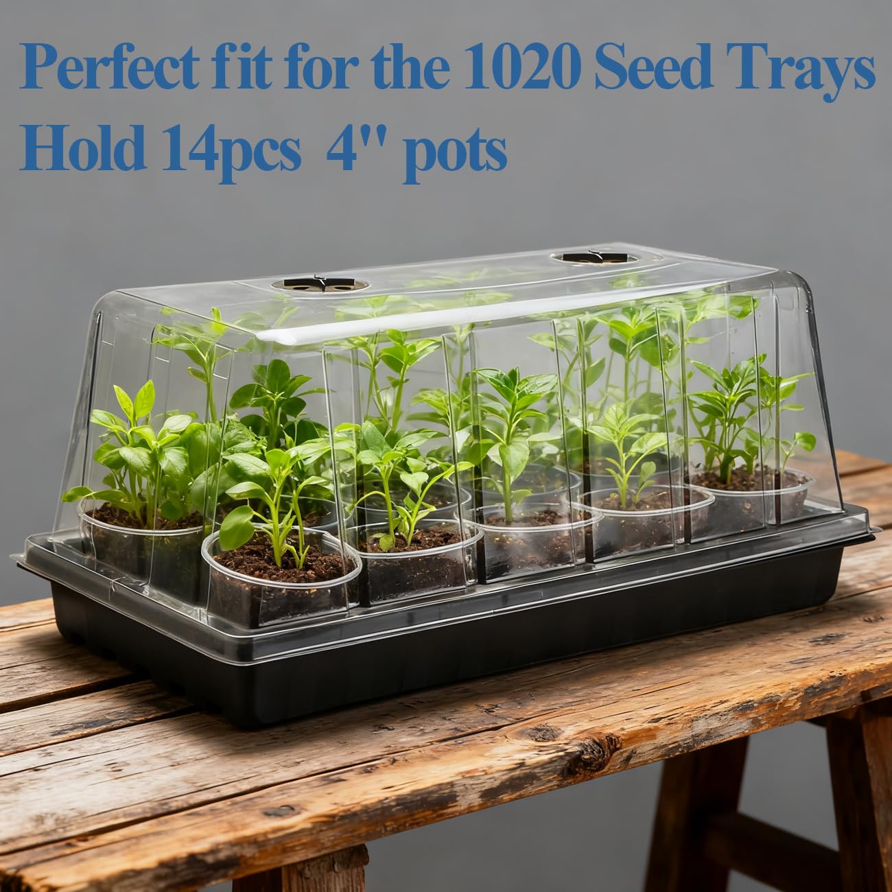 Versatile RooTrimmer setup for vegetables, flowers, and herbs.
