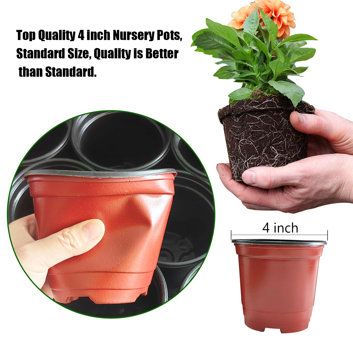 RooTrimmer vented lids help regulate humidity during seed starting.