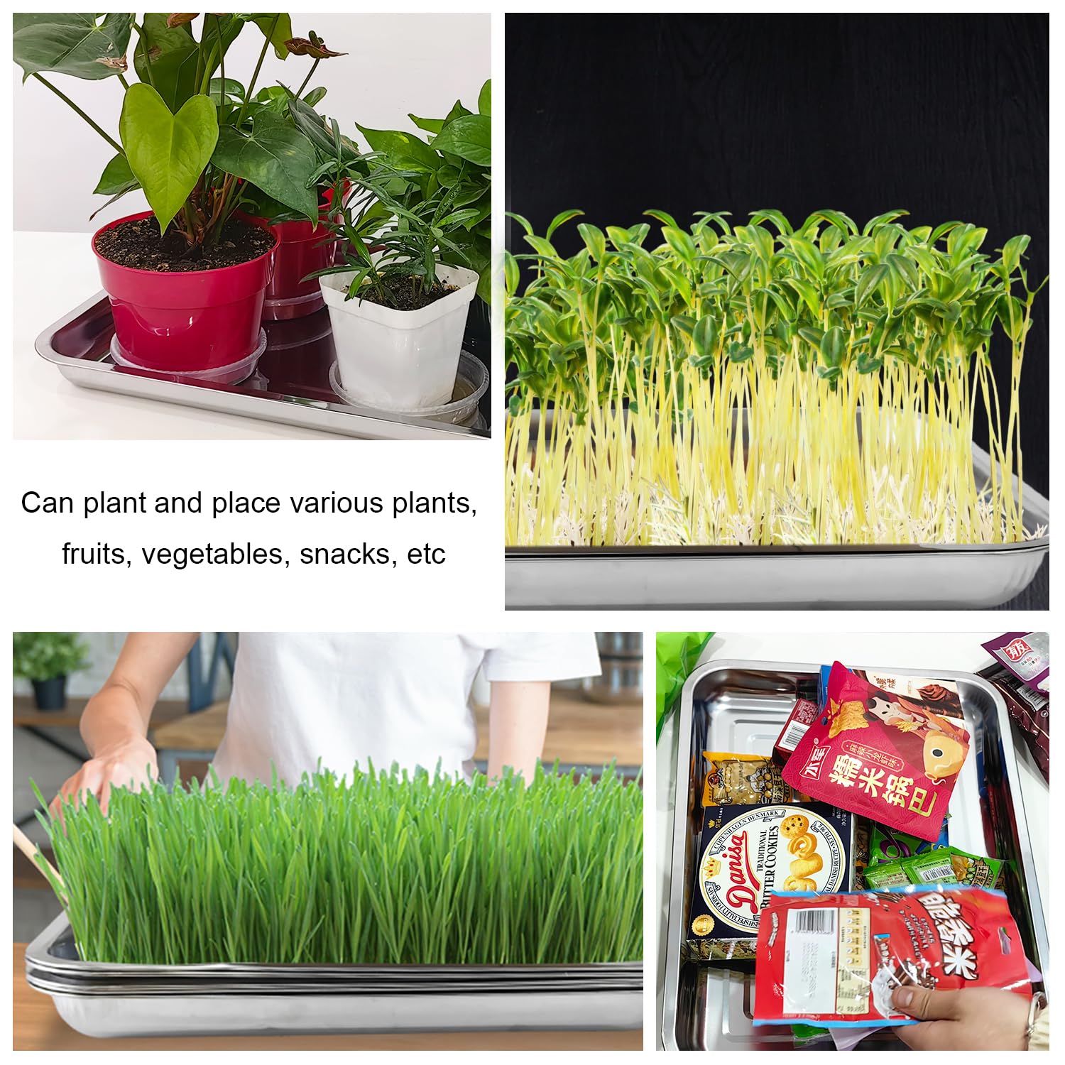 RooTrimmer water catch tray demonstrates durability for reusable use.