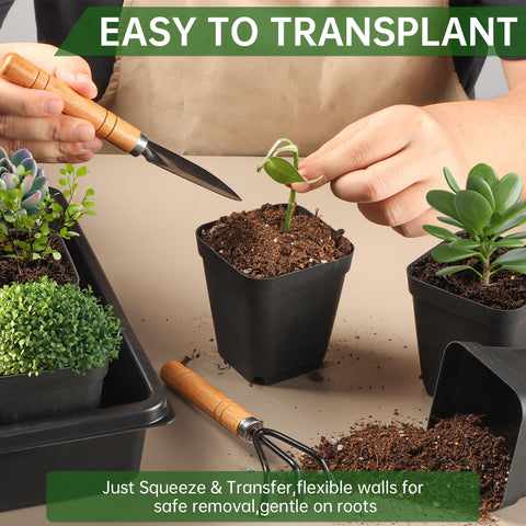 RooTrimmer wide-application pot suitable for vegetables, herbs, flowers, and succulents.