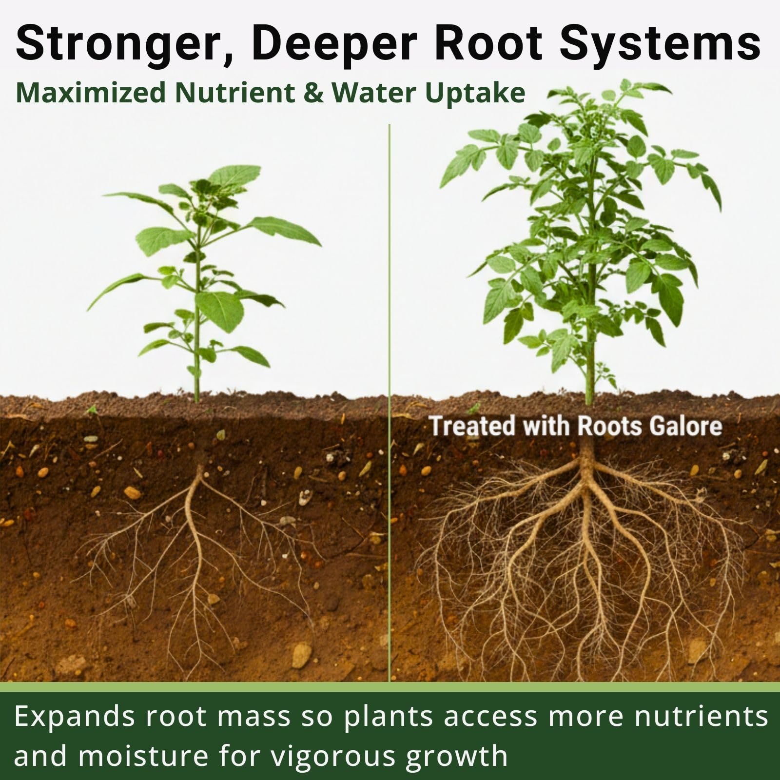 Roots Galore RG800147 microbes unlock soil nutrients to support healthy growth.