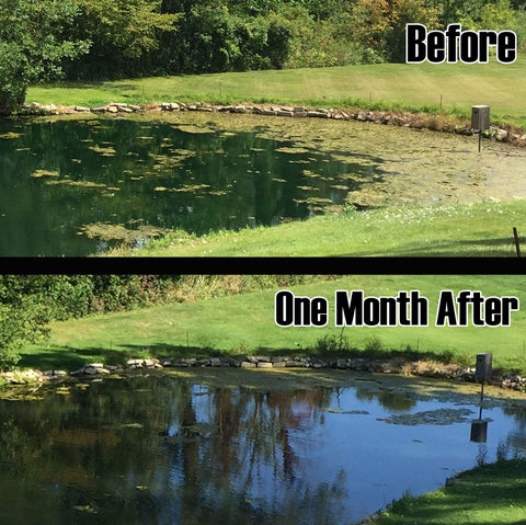 Rootscape pond aerator diffuser outdoors complements filtration and aeration setup