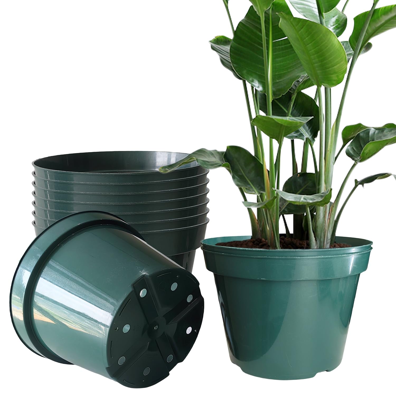 RooTrimmer 10-inch green planter pot bulk-pack for herbs and starter trays.