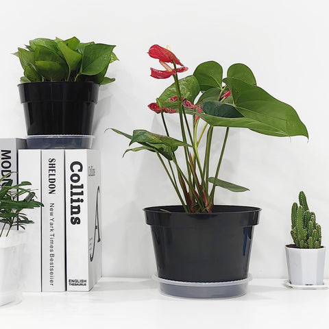 RooTrimmer 12-pack pots offer organized, stylish gardening for small spaces