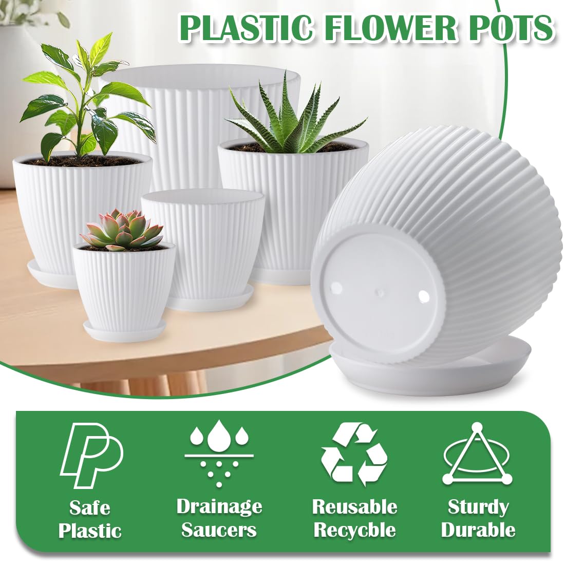 RootTrimmer 3.5-inch pot with drainage holes and saucer prevents spills