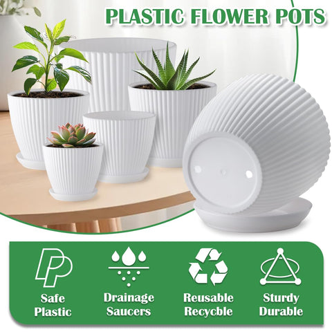 RootTrimmer 3.5-inch pot with drainage holes and saucer prevents spills