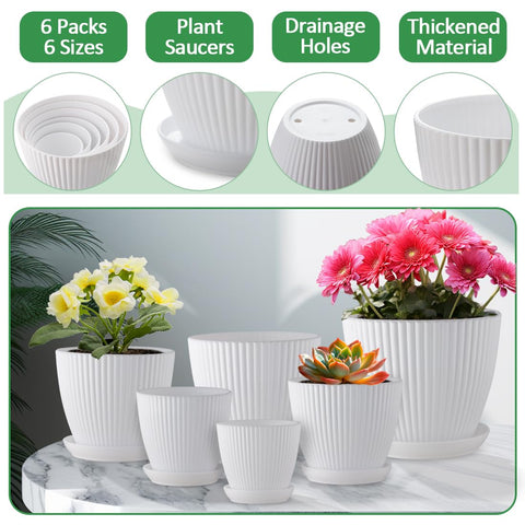 RootTrimmer 4.9-inch pot with drainage holes keeps roots well‑aerated
