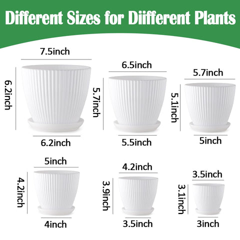 RootTrimmer 5.5-inch pot with drainage holes suits mid‑size houseplants beautifully