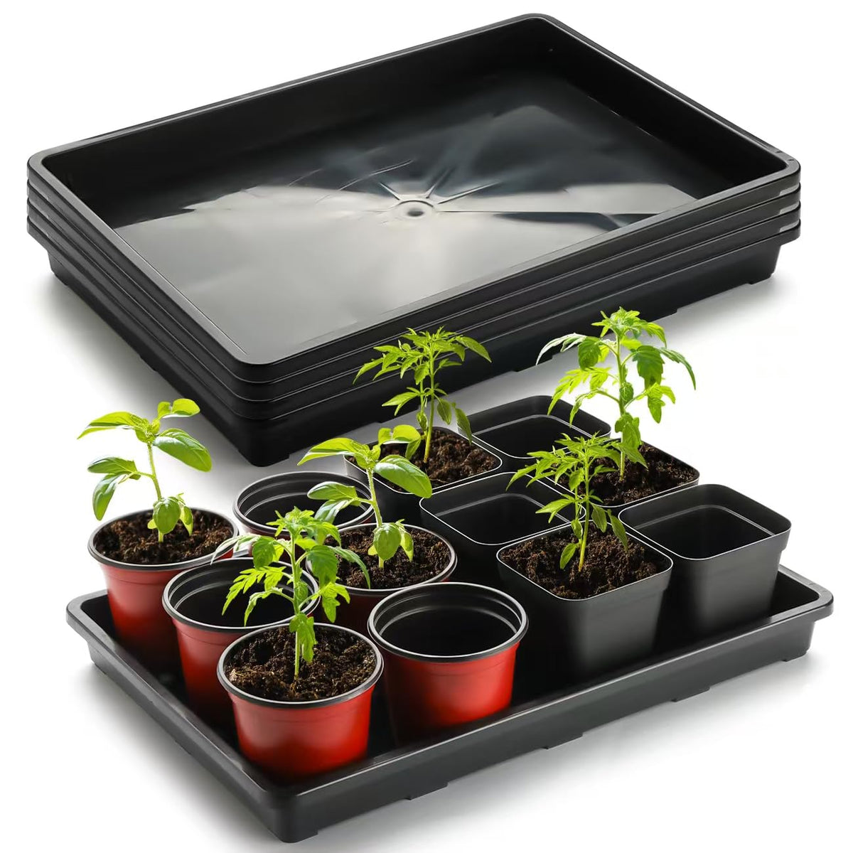 RooTrimmer 5-pack nursery potting tray in black, durable and reusable for seed starting.