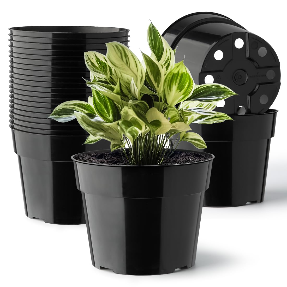 RooTrimmer 6-inch pot with saucer in front view for tidy indoor planting.