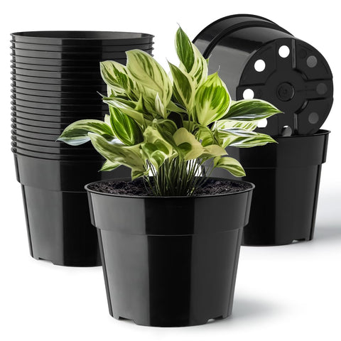 RooTrimmer 6-inch pot with saucer in front view for tidy indoor planting.
