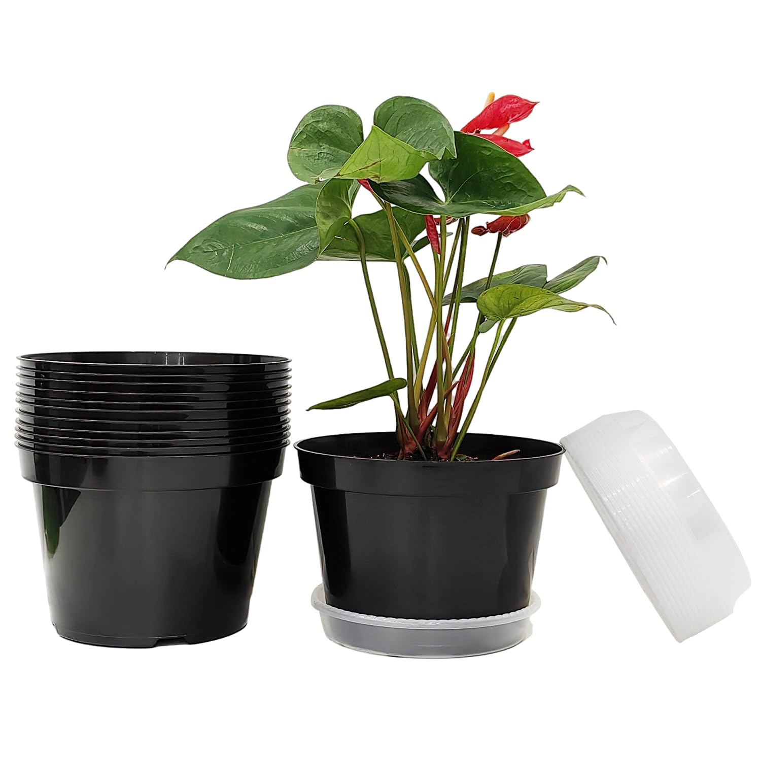 RooTrimmer 8-inch black plant pot with clear saucer for indoor display and controlled watering